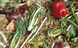 Food waste composted