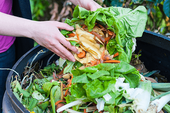Person placing vegetable food waste into compost bin