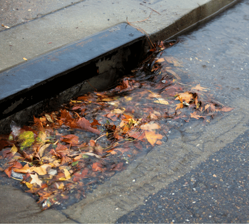fall leaves crowding a street drain during a rain storm